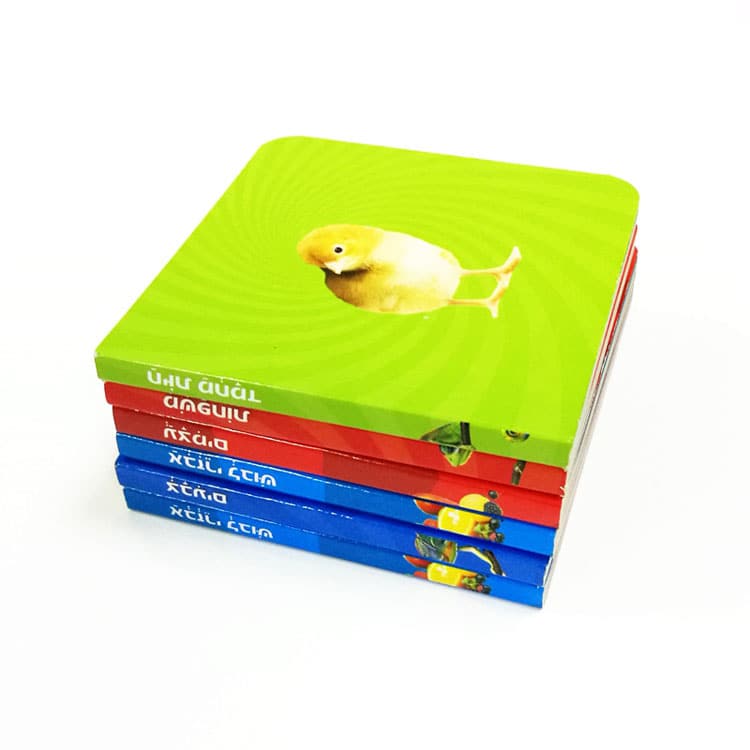 Children Boardbook