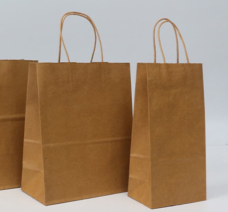 Craft Paper Bag