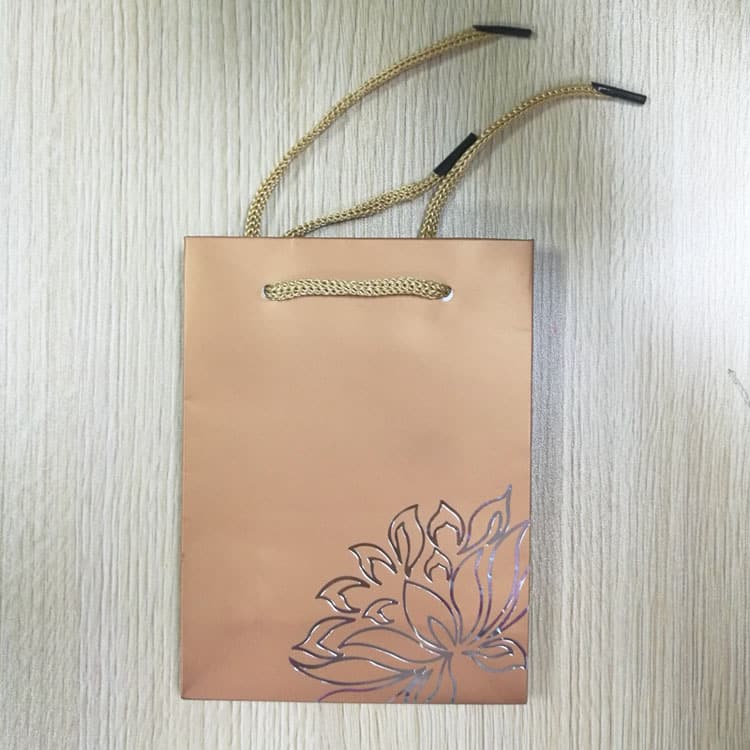 Paper Gift Bag With Custom Printing